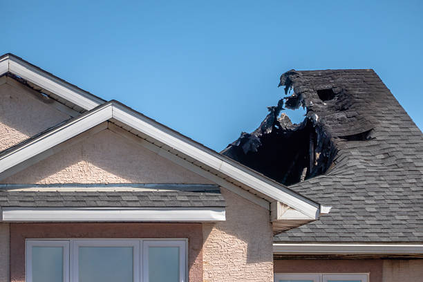 Top rated local Odor Removal specialists in Washington, DC